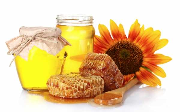 عسل منبع نشاط و سلامتی