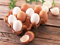 پنج دلیل برای اینکه تخم مرغ بخوریم