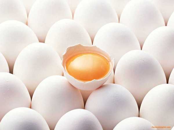 کنترل کلسترول تخم مرغ