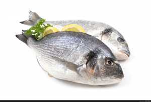 بهترین روش برای انجماد ماهی