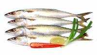 خواص سلامتی بخش ماهی ساردین، چرا باید ماهی ساردین بخوریم؟