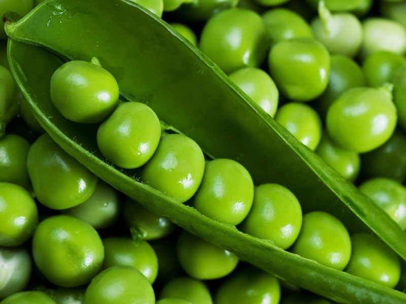 پنج دلیل برای اینکه نخود سبز بخوریم